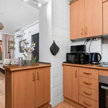 公寓 La Dama 托雷维耶哈